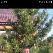 ���������� ����, ���� ������� ������, 43 ����, ������������ ��� ������, ����� � ���������, c�������� ���������