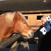 ���������� ����� �������, ���� ������� ������, 63 ����, ������������ ��� ������, ����� � ���������, c�������� ���������