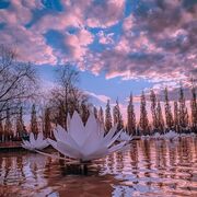 ���������� �����, �������