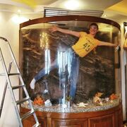 ���������� ������, ���� ������� �������, 35 ���, ������������ ��� ������, ����� � ���������, c�������� ���������