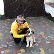   ,   , 56 ,   ,   , 