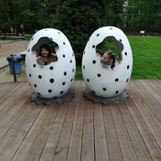 ���������� ���������, ���� ������� �����, 49 ���, ������������ ��� ������, ����� � ���������, c�������� ���������, ���������