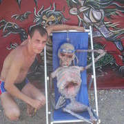 ,   , 36 ,   