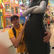   ,   , 37 ,   ,   , 