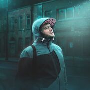 ���������� �����������, ���� ������� ������, 38 ���, ������������ ��� ������, ����� � ���������