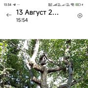  -,   , 66 ,   ,   