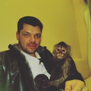  -,   , 37 ,     , c 