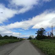 -,   , 25 ,     
