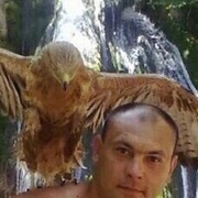  ,   , 41 ,     , c 