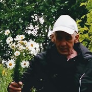  ,   Alexander, 65 ,     , c 