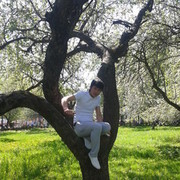 ���������� ������, ���� ������� Gaybullo, 32 ����, ������������ ��� ������