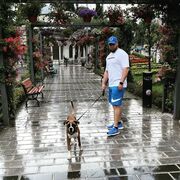 ���������� ����� �������, ���� ������� ����, 33 ����, ������������ ��� ������, ����� � ���������