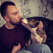 ���������� �����-���������, ���� ������� ����, 32 ����, ������������ ��� ������, ����� � ���������