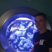  ,   , 33 ,   ,   