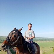  ,   , 46 ,   