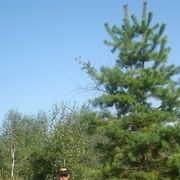 ���������� ���������, ���� ������� ���, 50 ���, ������������ ��� ������