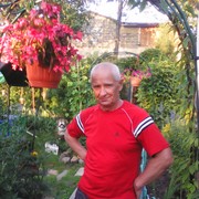 ,   , 66 ,   ,   , c 