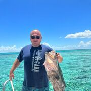 ���������� ������, ���� ������� ������, 38 ���, ������������ ��� ������, ����� � ���������, c�������� ���������