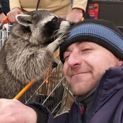  ,   , 43 ,   ,   