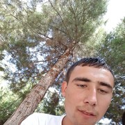  ,   , 29 ,     , c 