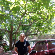  ,   , 55 ,  