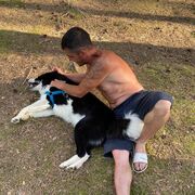 ���������� ������� ��������, ���� ������� �����, 37 ���, ������������ ��� ������, ����� � ���������