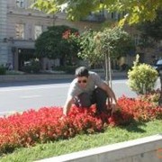  ,   Nokoli, 40 ,   