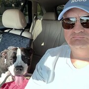 ���������� ����, ���� ������� ������, 43 ����, ������������ ��� ������, ����� � ���������