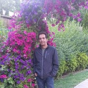 ���������� �������, ���� ������� �������, 41 ���, ������������ ��� ������, ����� � ���������, c�������� ���������, ���������