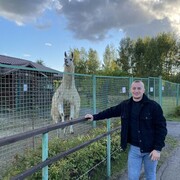 ���������� ���������, ���� ������� ������, 30 ���, ������������ ��� ������, ����� � ���������