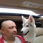 ���������� ��������, ���� ������� Ion, 43 ����, ������������ ��� ������, ����� � ���������, c�������� ���������