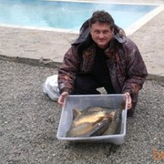  ,   , 59 ,   