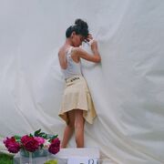 ���������� ����, ���� ������� ����, 33 ����, ������������ ��� ���������