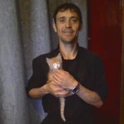 ���������� ������-��-����, ���� ������� �������, 46 ���, ������������ ��� ����� � ���������, c�������� ���������, ���������