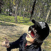  ,   ARAM, 36 ,     , c , 