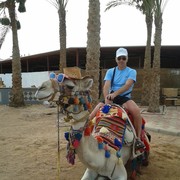 ���������� �������, ���� ������� ��������, 59 ���, ������������ ��� ������, ����� � ���������, c�������� ���������