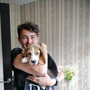 ���������� �����-���������, ���� ������� ��������, 56 ���, ������������ ��� ������, ����� � ���������