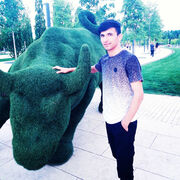 ���������� ������, ���� ������� ��������, 28 ���, ������������ ��� ������, ����� � ���������