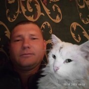 ,   , 38 ,   c 
