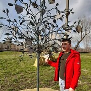 ���������� �����, ���� ������� �������, 34 ����, ������������ ��� ������, ����� � ���������