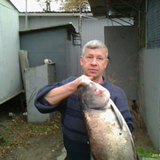 ���������� �����, ���� ������� ������, 61 ���, ������������ ��� ����� � ���������, c�������� ���������