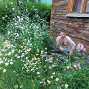 ���������� ������������, ���� ������� ������, 36 ���, ������������ ��� ������, ����� � ���������, c�������� ���������, ���������