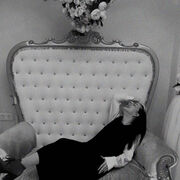 ���������� ������, ���� ������� �������, 21 ���, ������������ ��� ����� � ���������, c�������� ���������