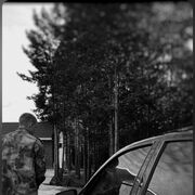 ���������� ���������, ���� ����� �������, 22 ����, ������������ ��� ������, ����� � ���������