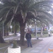  ,   , 38 ,   