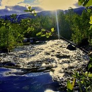 ���������� ����, ���� ������� �����, 39 ���, ������������ 