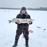 ���������� �������, ���� ������� ������, 43 ����, ������������ ��� ������, ����� � ���������