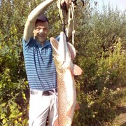 ���������� ����, ���� ������� ��������, 43 ����, ������������ ��� ������, ����� � ���������, c�������� ���������