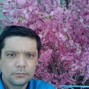  ,   , 41 ,  