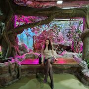 ���������� �����-���������, ���� ������� Ninel, 35 ���, ������������ ��� c�������� ���������